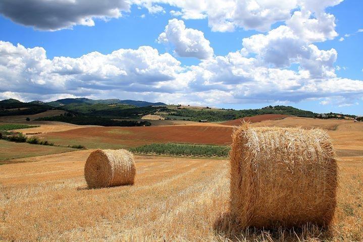 Appartamento Old England In Chianti Монтеспертоли Екстериор снимка